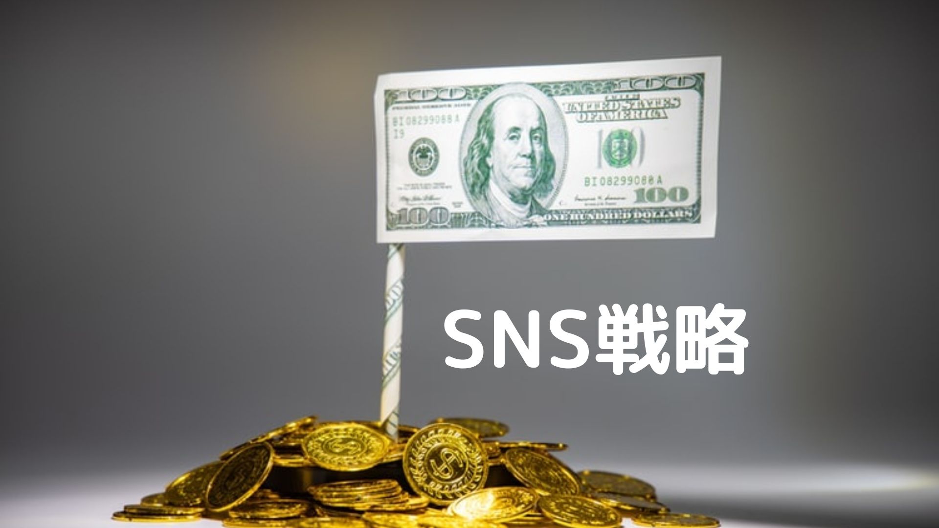 SNS戦略